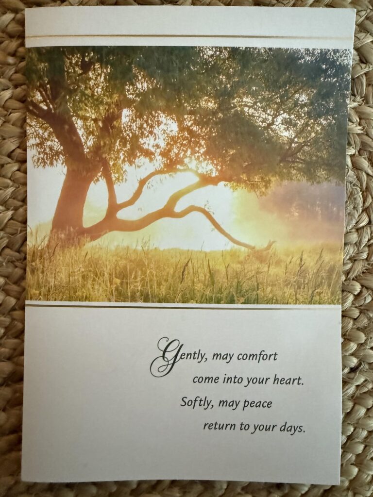 One of the major phone/internet carriers have been digging holes in our lawns to install new lines.  My husband had worked so hard on our front lawn and all our neighbors knew it. Today, we received a sympathy card about our dug up lawns.