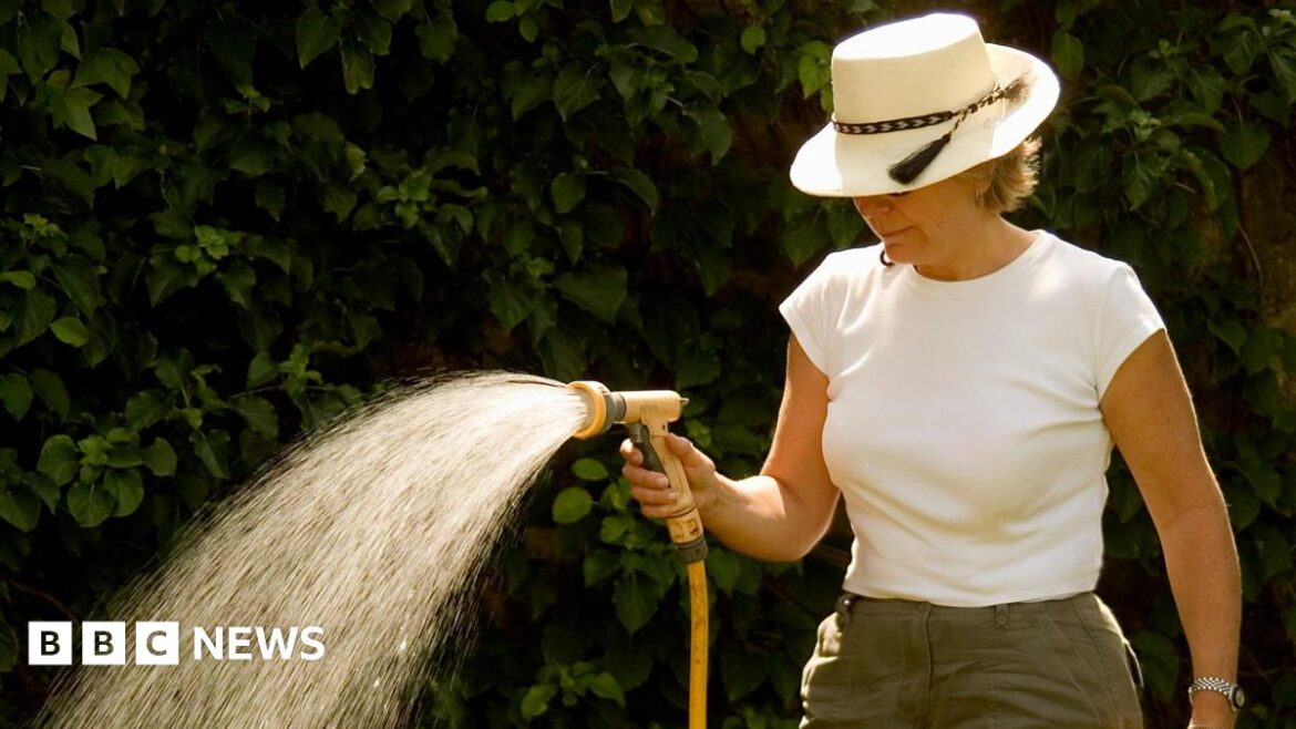 A woman wearing a sunhat sprays a large-nozzled hose onto the ground with a lush green bush behind her