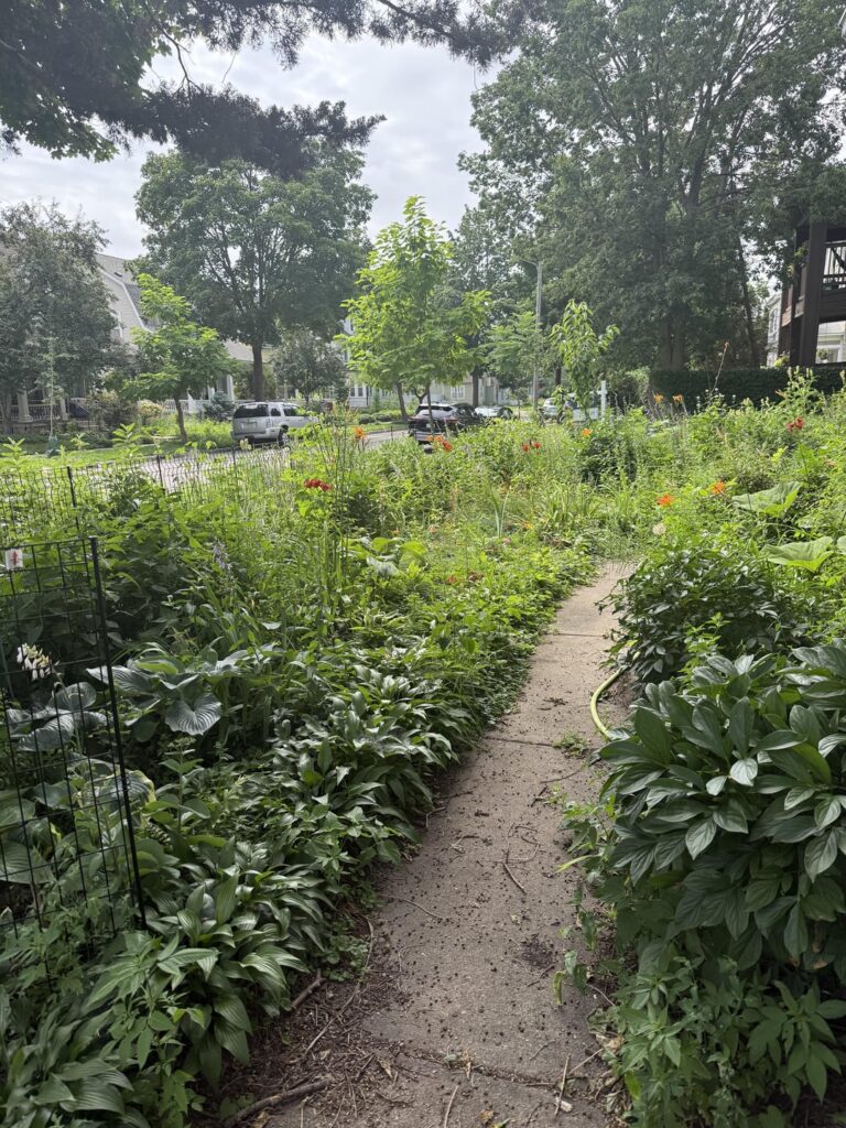 Thought y’all might appreciate my mom’s front yard