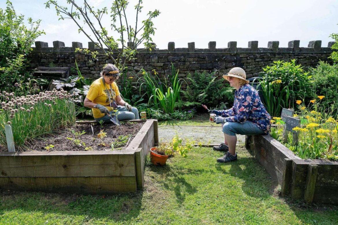 Green-fingered volunteers call on villagers to help them land £30,000 with one click The Bolton News