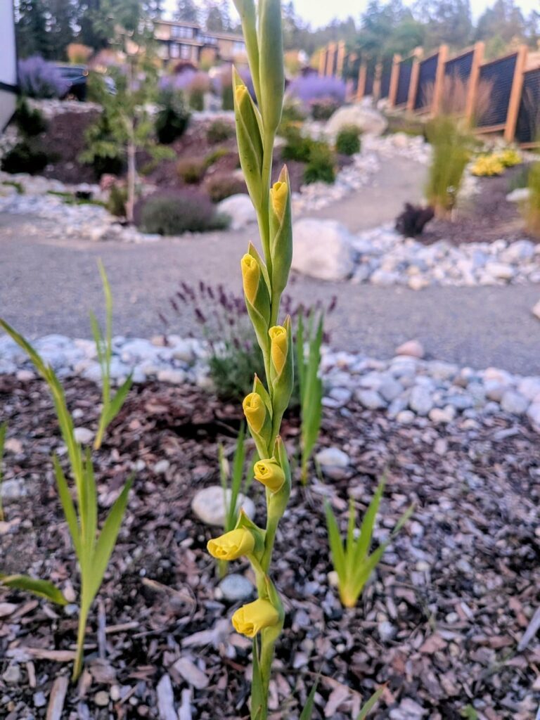 The things we've grown and the little friends we've made