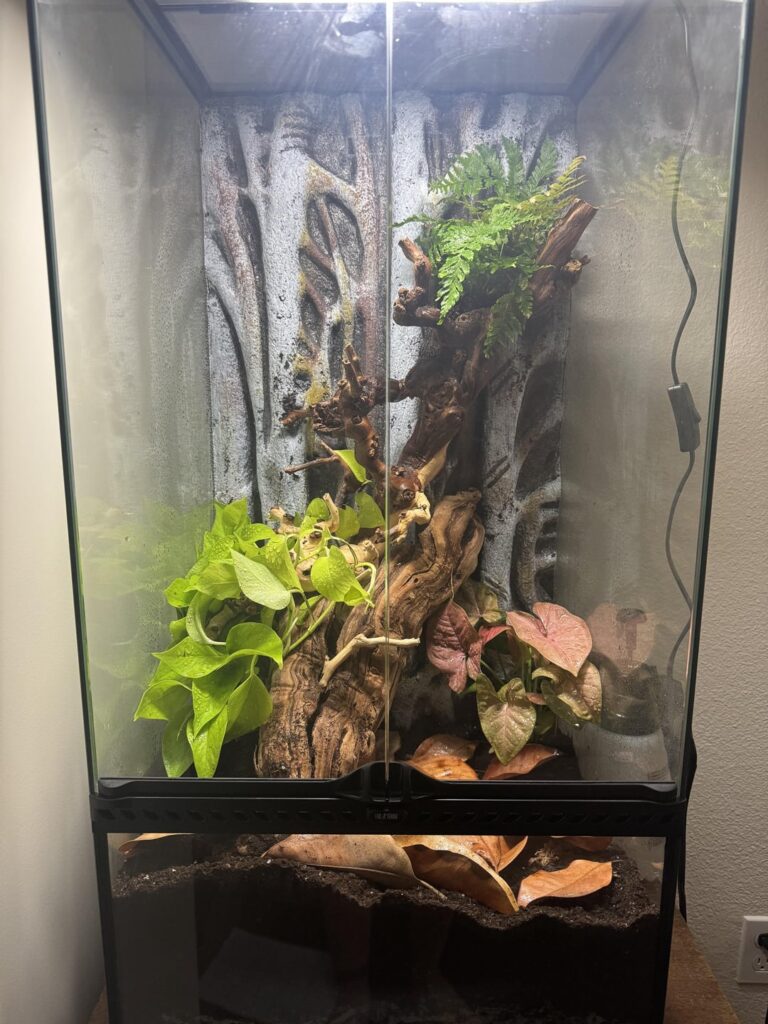 How to anchor hardscape into foam background How to anchor hardscape into foam background