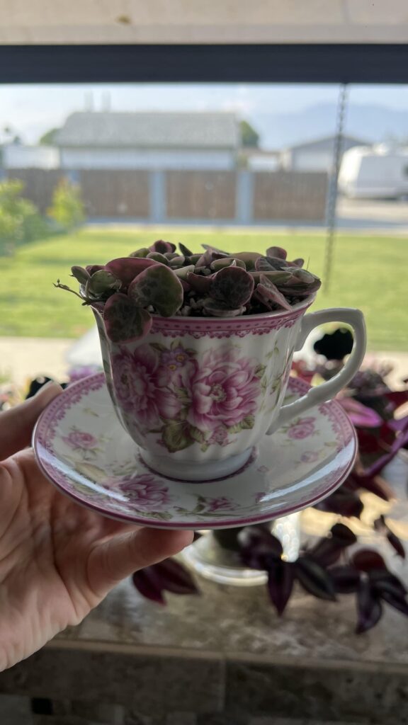 Another day, another teacup and string of hearts