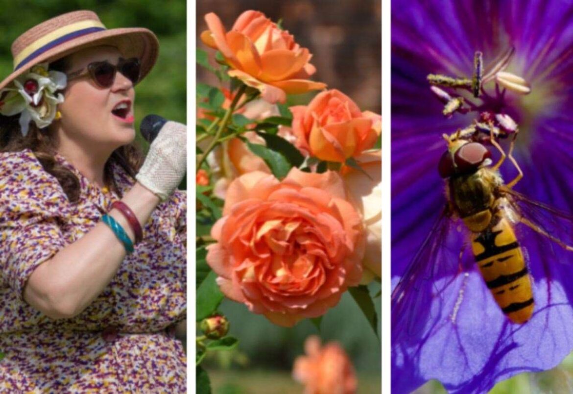 Open day at Gardens of Easton Lodge will bring their wartime history to life