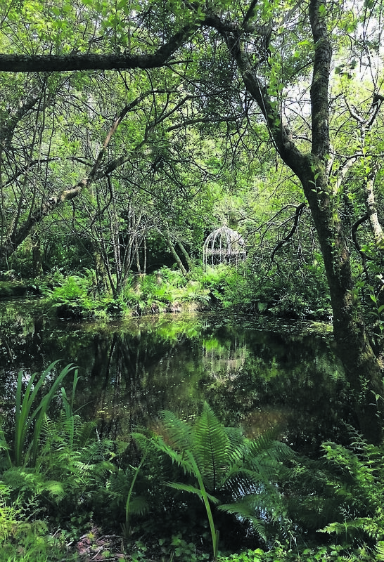 Hannibal’s H20 with Pavilion - a pond with a bridge onto a little island on Inishbeg Estate