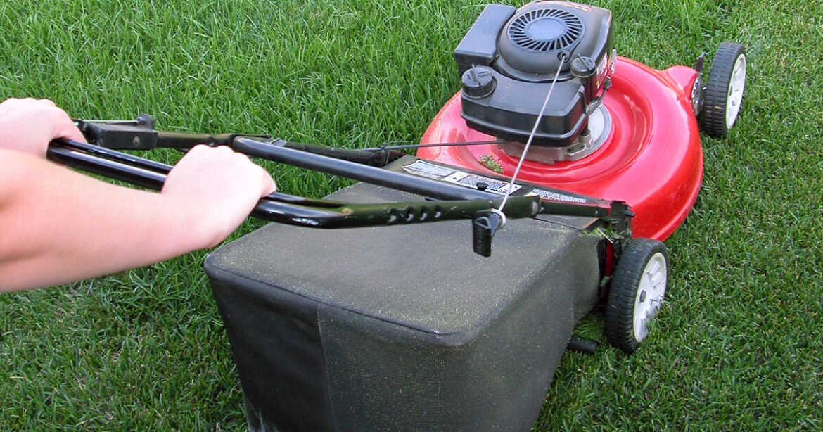 Cannabis found under Cork man's lawnmower and garden tools was being sold to pay drugs debt