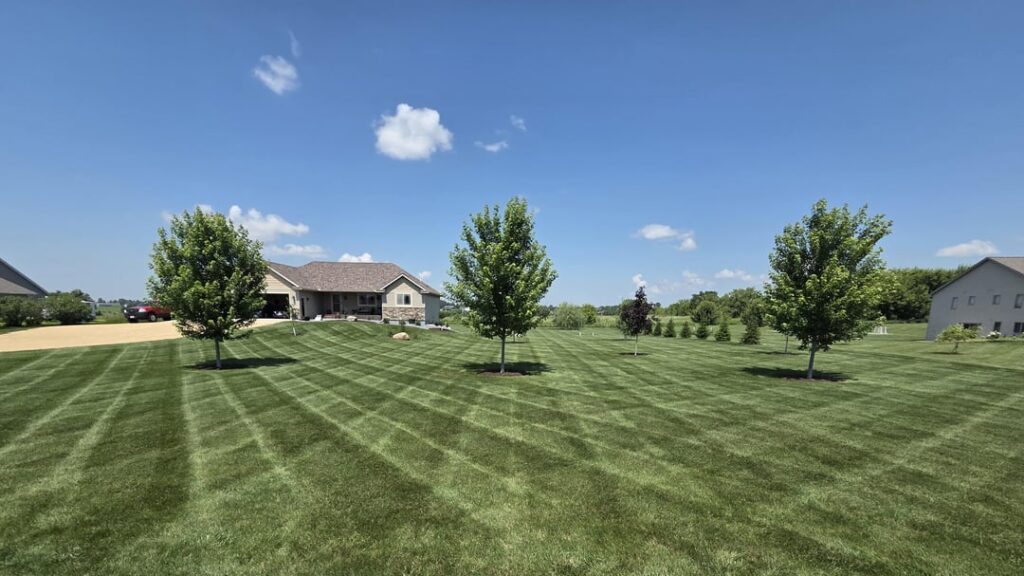 Thought it looked good today Thought it looked good today