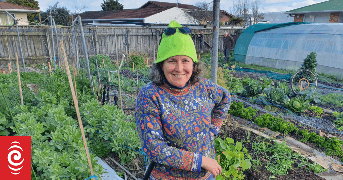 Forget the spade: why you should try no-dig gardening Forget the spade: why you should try no-dig gardening