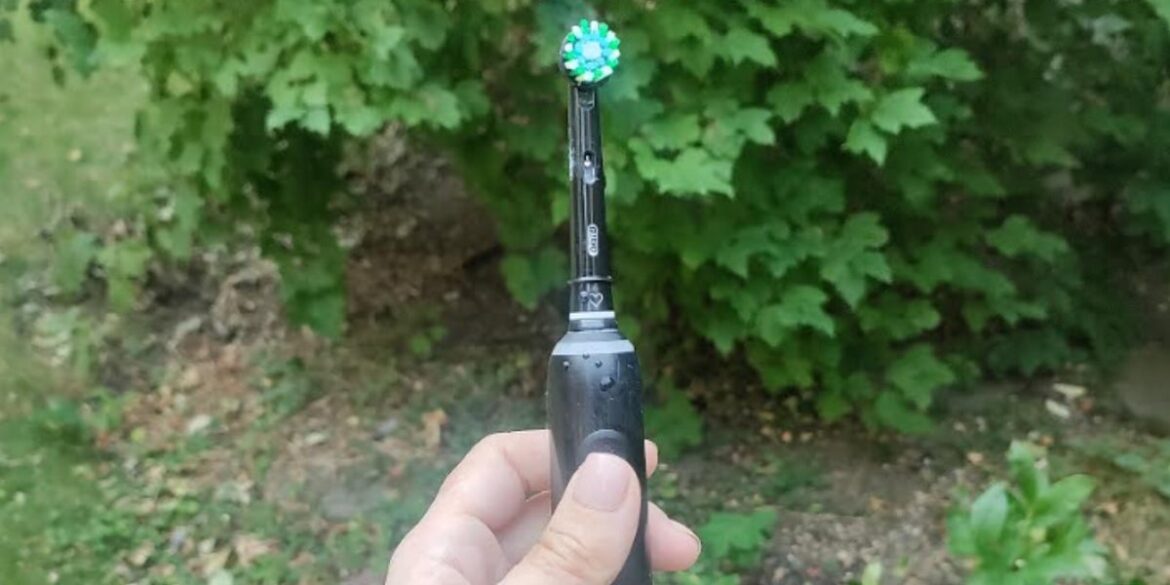 UK Gardeners Urged To Take An Electric Toothbrush To Their Tomato Plants