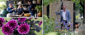 The event was full of colour and life as thousands of people enjoy the sights on show