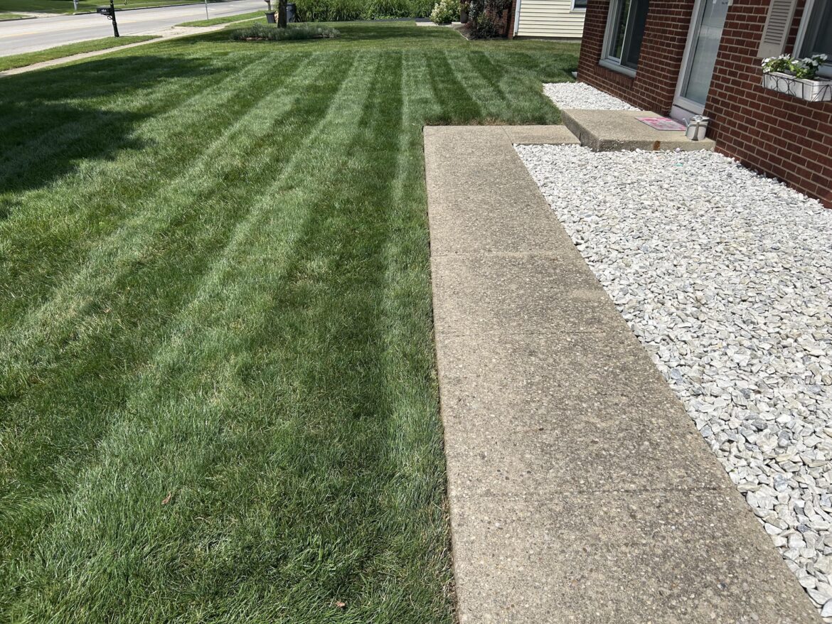Fungicide rotations have saved my lawn this year… so thankful. I am a fungicide truther now & will apply preventively every year going forward.