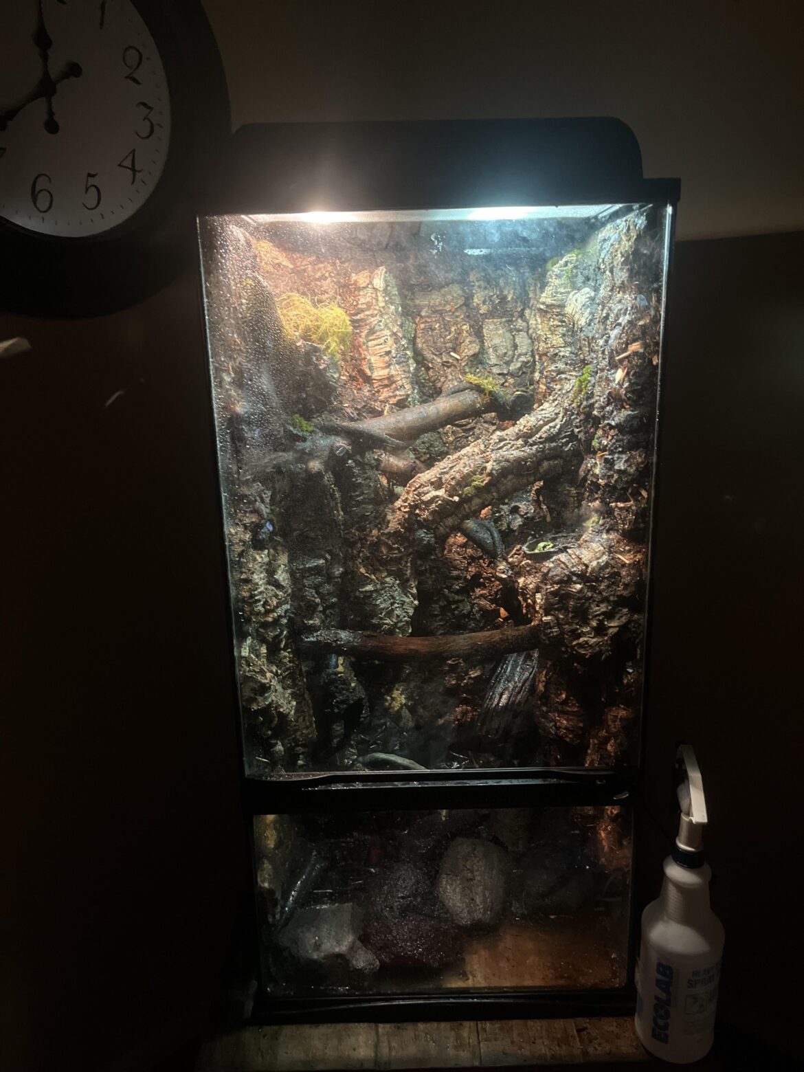 what animals should I add?