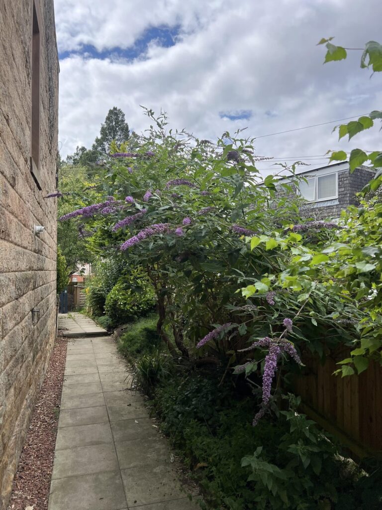 Should I be worried? Should I be worried?