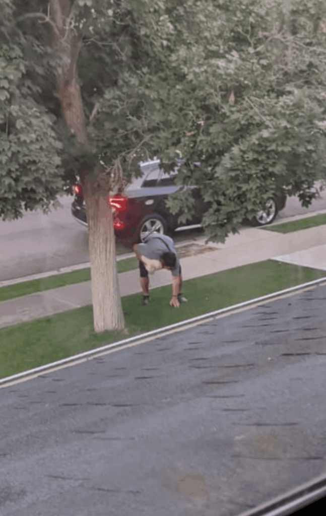 The random guy actually stopped his car to get out and touch my grass. So great.