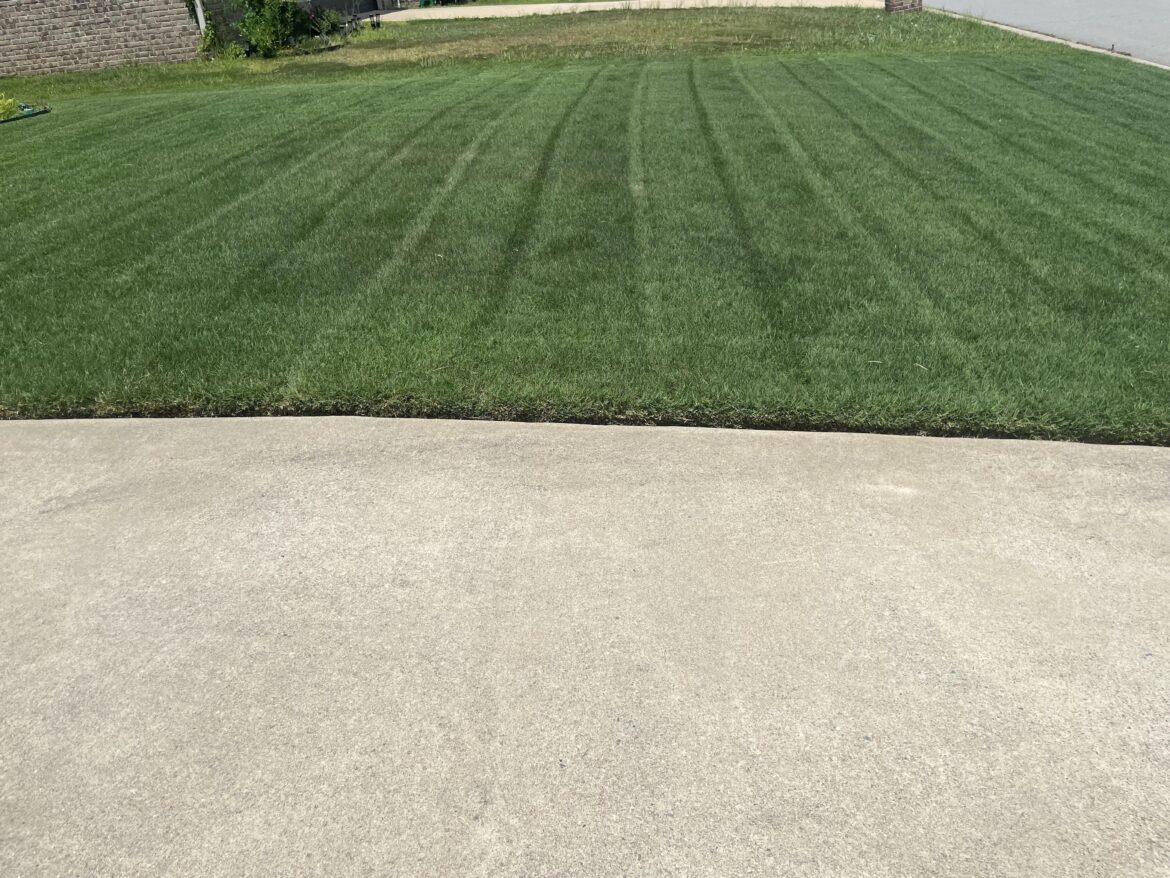 Striping Bermuda