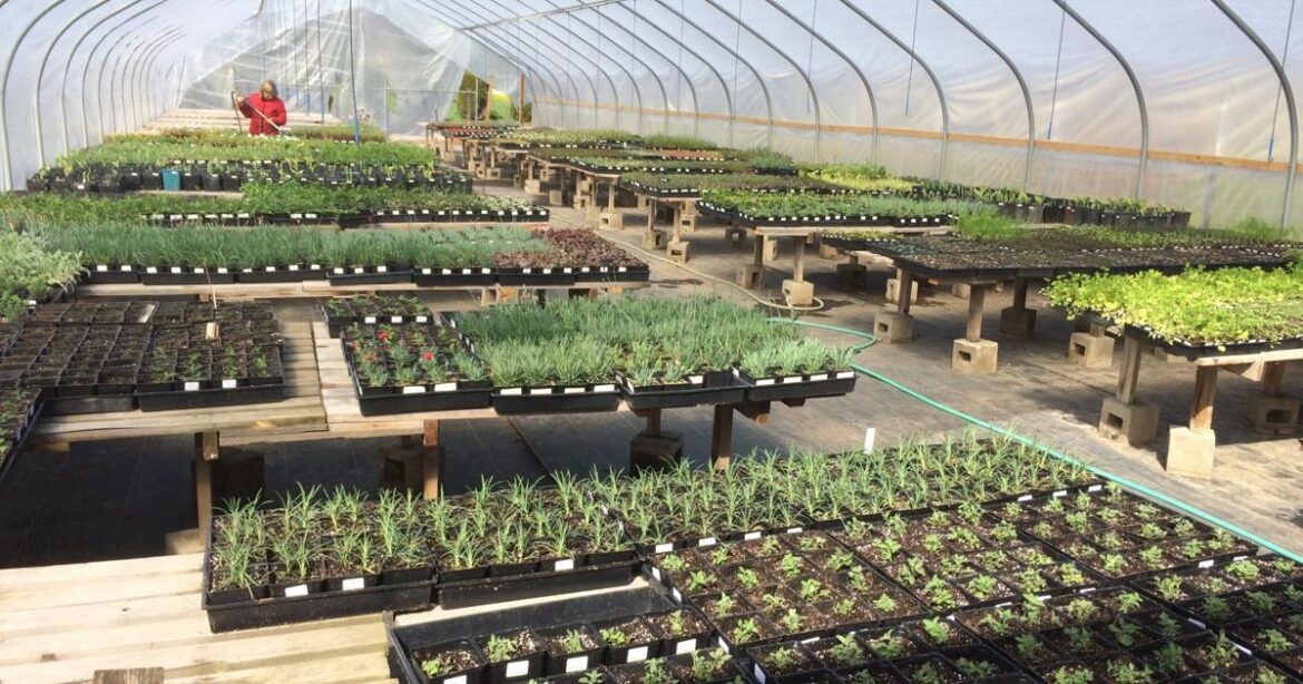 Yakima County Master Gardeners: Fall registration open for Master Gardener program | Home And Garden Yakima County Master Gardeners: Fall registration open for Master Gardener program | Home And Garden