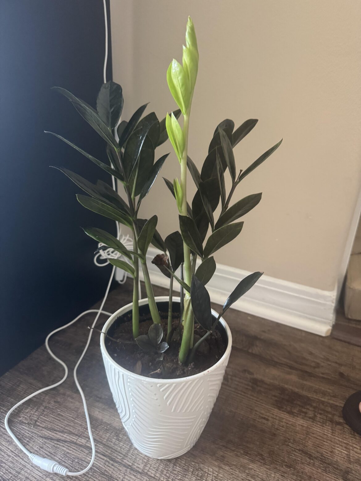 Who’s gd white baby is that?!? Who’s gd white baby is that?!?