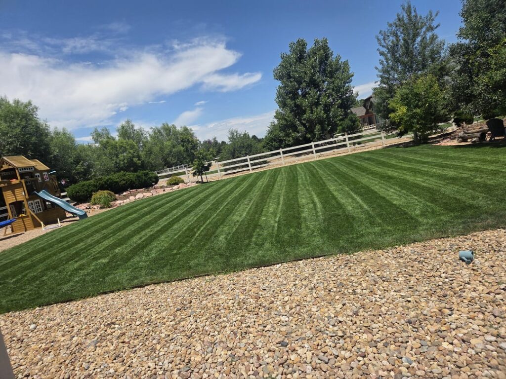 What has happened What has happened