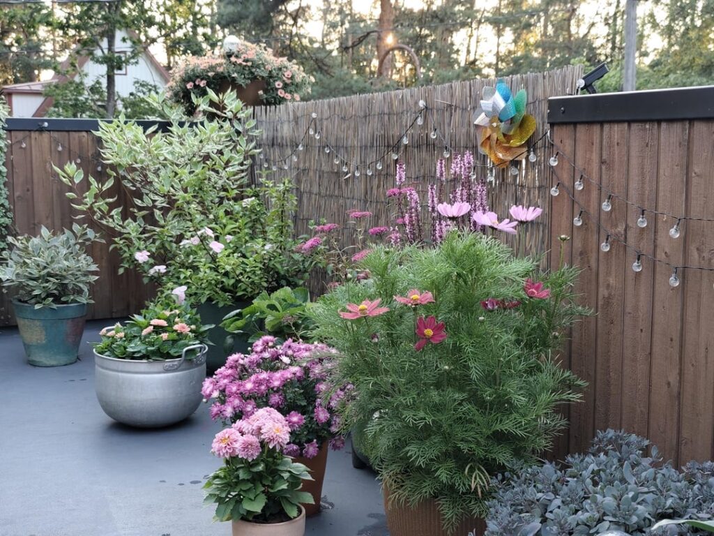 Pretty proud of myself for my little balcony garden Pretty proud of myself for my little balcony garden