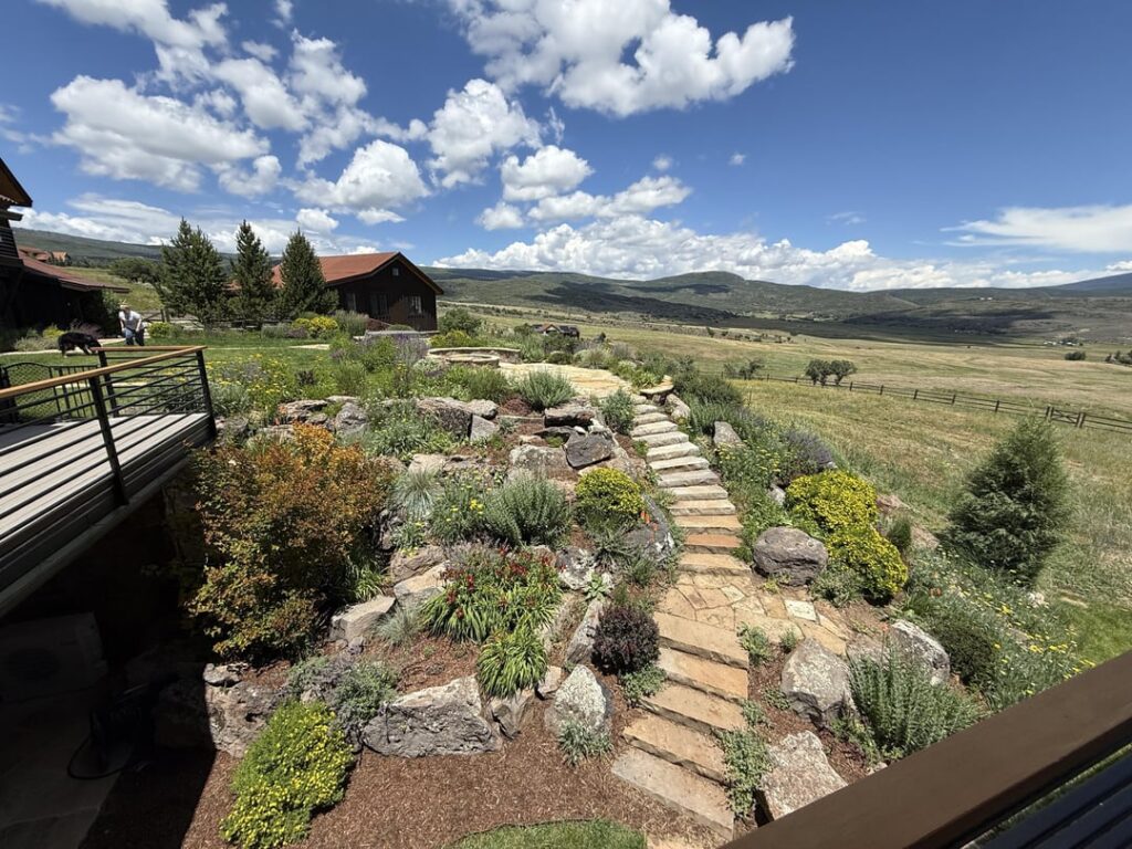 Thought I would share my in laws yard!