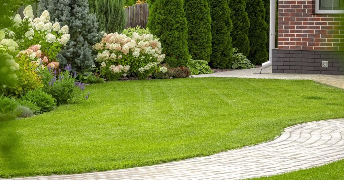 Gardeners who want greener lawns urged to never throw away 2 kitchen items