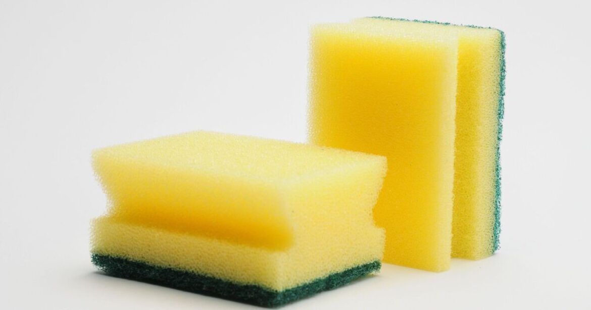 Gardeners urged to put washing up sponges in garden in July Gardeners urged to put washing up sponges in garden in July