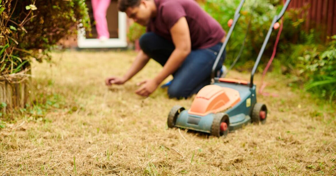 One watering mistake that can turn your lawn brown after a heatwave One watering mistake that can turn your lawn brown after a heatwave