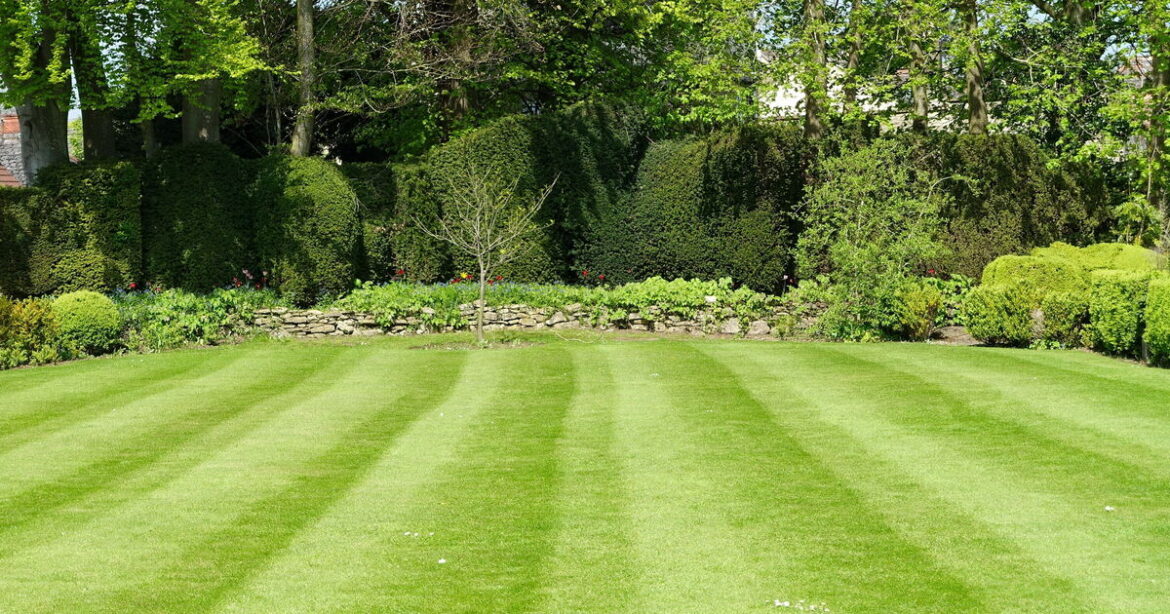 Gardeners urged to do 1 thing with their grass this July Gardeners urged to do 1 thing with their grass this July