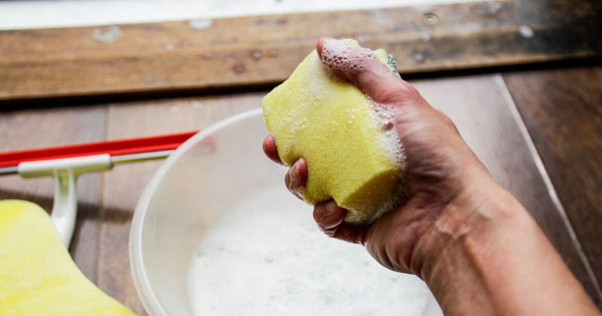 Gardeners urged to use sponges for 1 essential job in gardens in July Gardeners urged to use sponges for 1 essential job in gardens in July