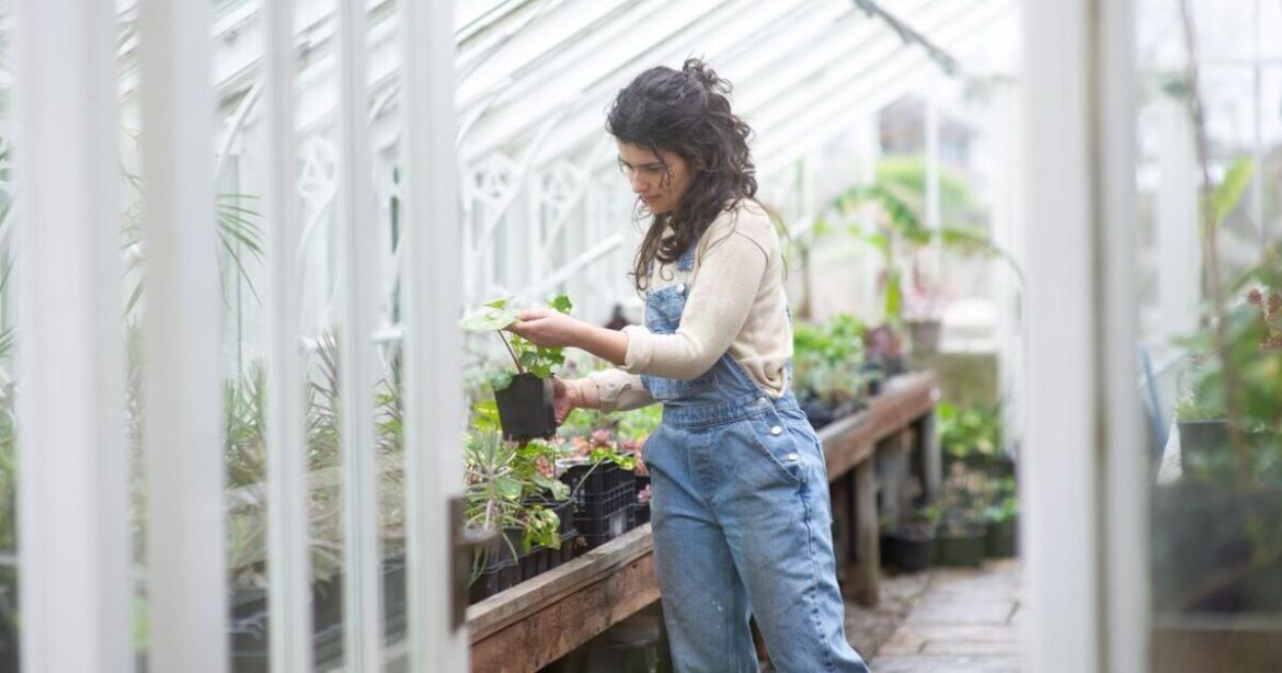 Gardeners urged to do one job before August that will keep plants healthy