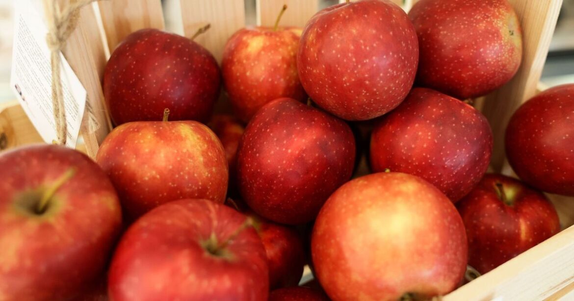 Garden expert explains how to grow biggest and sweetest apples this su