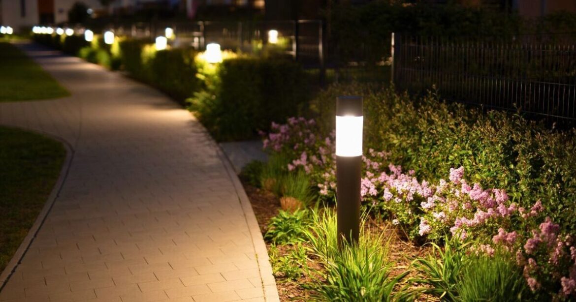 Solar lights will stay bright and long-lasting if you do 1 task in July