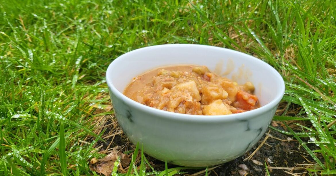 Gardeners urged to leave bowl of dog food in garden