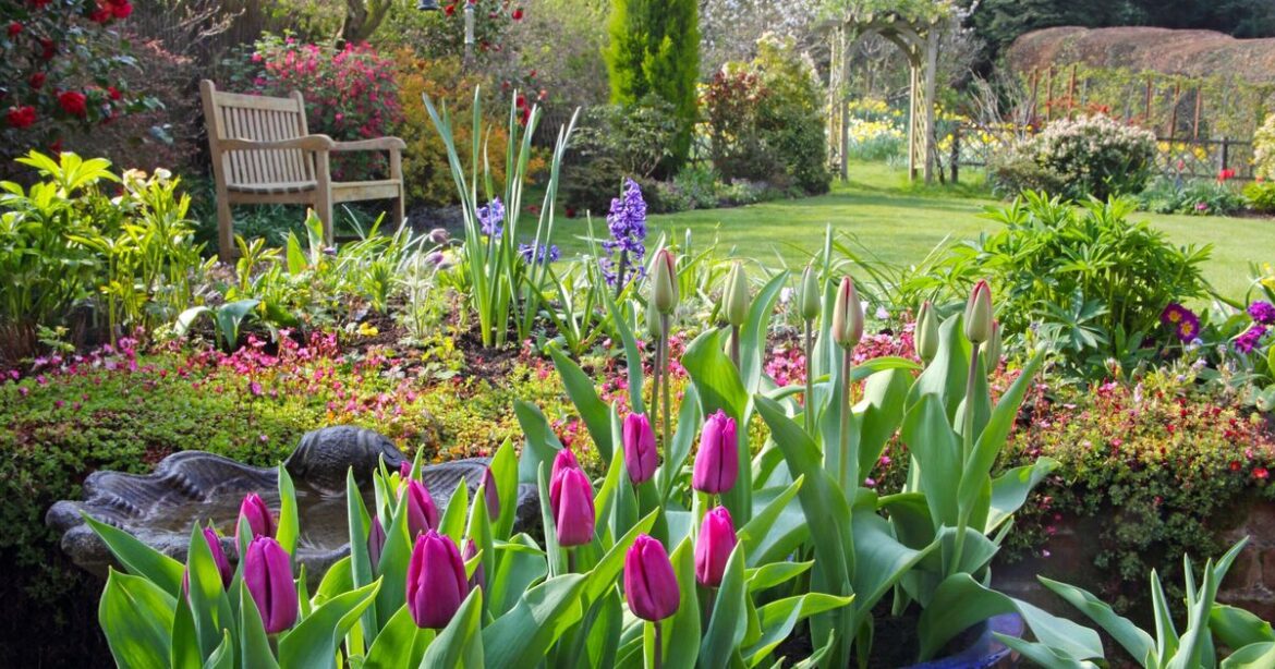 Gardeners urged to 'spare a few minutes' for key job this month