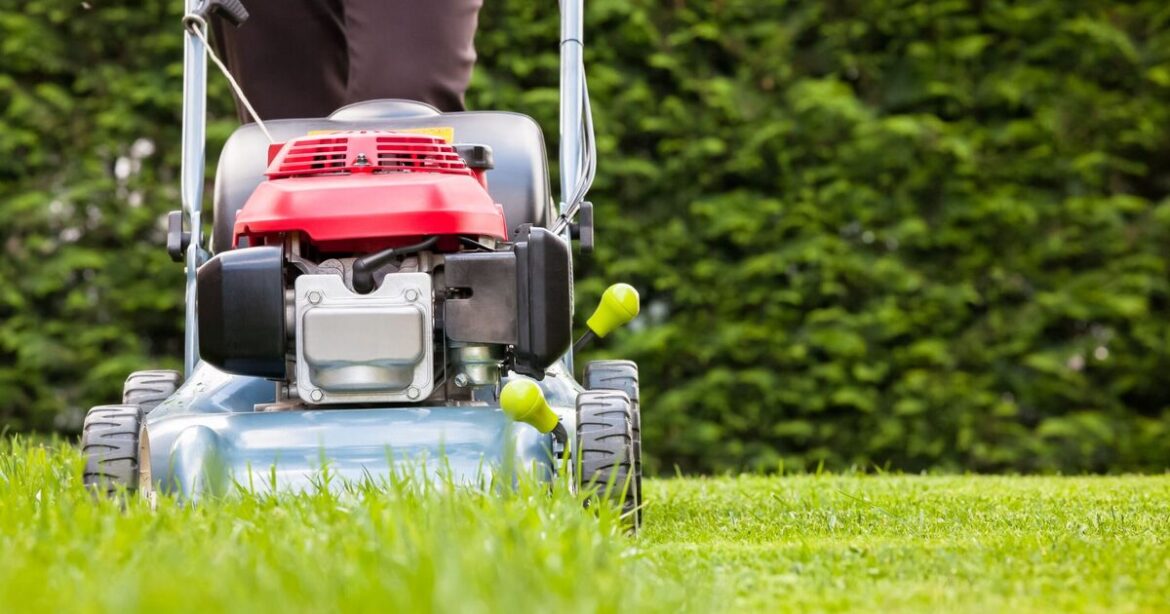 Gardeners told not to cut lawns on Wednesday, Thursday or Friday