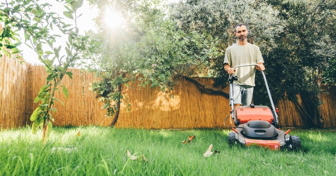 How to keep lawns healthy gardeners by avoiding 1 July job How to keep lawns healthy gardeners by avoiding 1 July job