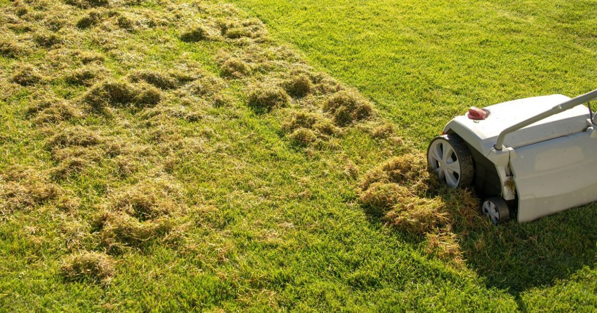 ‘Magic’ item that removes lawn moss ‘overnight’ for less than £10 'Magic' item that removes lawn moss 'overnight' for less than £10
