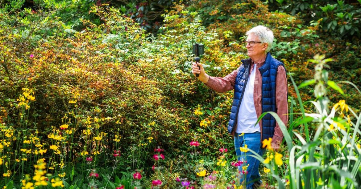 The 1 leftover item you can use for multiple purposes in the garden