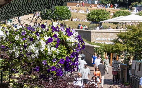 The amazing Wimbledon flower displays The amazing Wimbledon flower displays