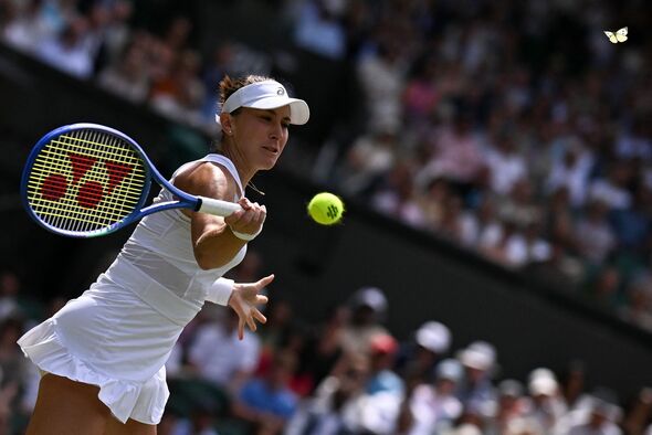 A white butterfly on court at Wimbledon A white butterfly on court at Wimbledon