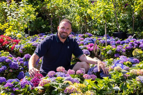 Martyn surrounded by the glorious Wimbledon blooms Martyn surrounded by the glorious Wimbledon blooms