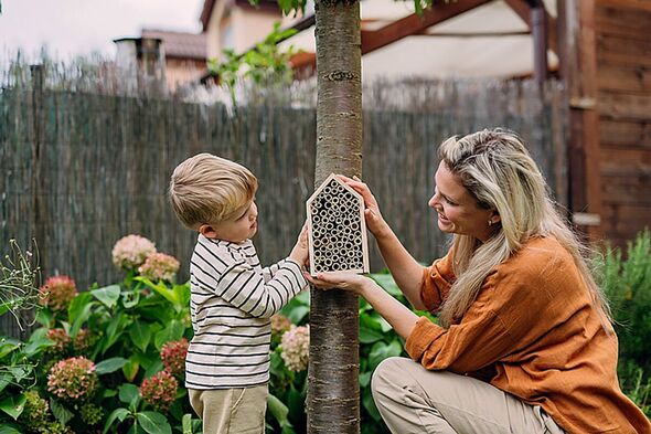 You can create your own bee hotel