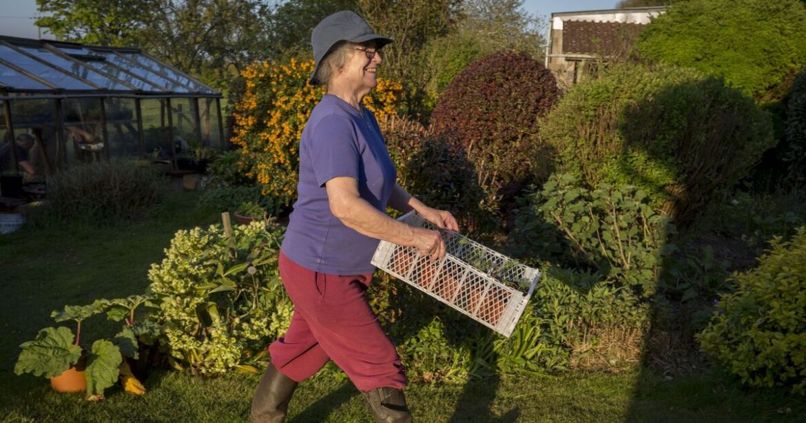 Gardeners over 50 urged to buy this 1 unlikely £30 tool for everything Gardeners over 50 urged to buy this 1 unlikely £30 tool for everything
