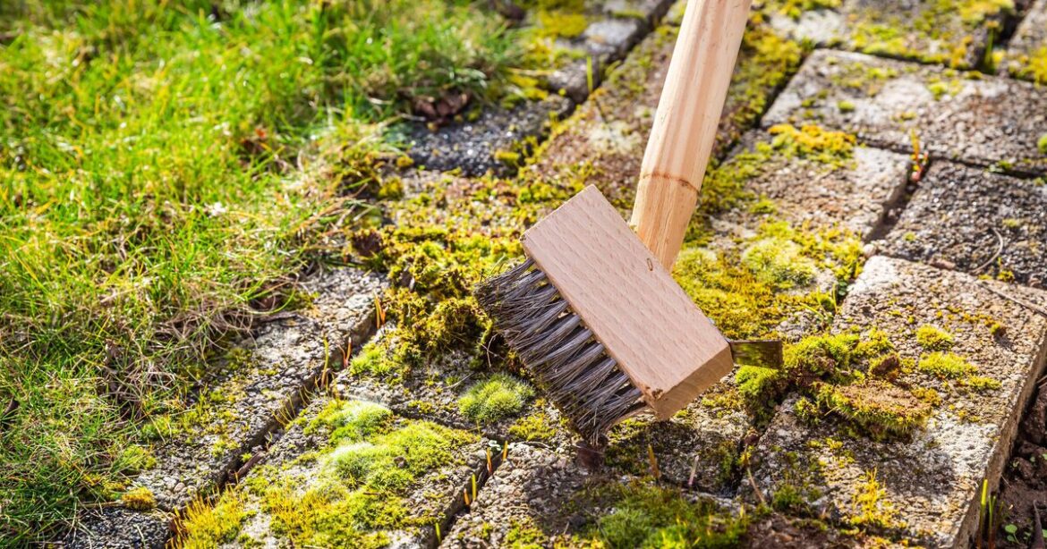 How to clean garden patio fast with cheap 35p kitchen item