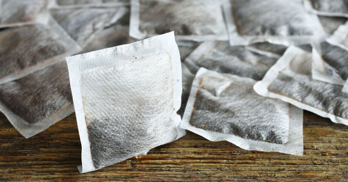 Gardeners urged to put ripped up teabags in garden Gardeners urged to put ripped up teabags in garden