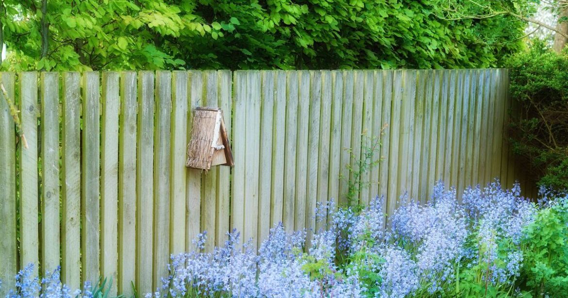 Homeowner alert over garden fence rule that ‘catches a lot of people o