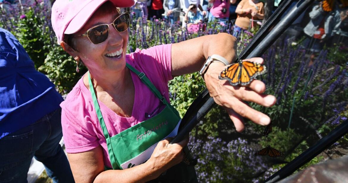 Gardener named Commonwealth Heroine | Local News Gardener named Commonwealth Heroine | Local News