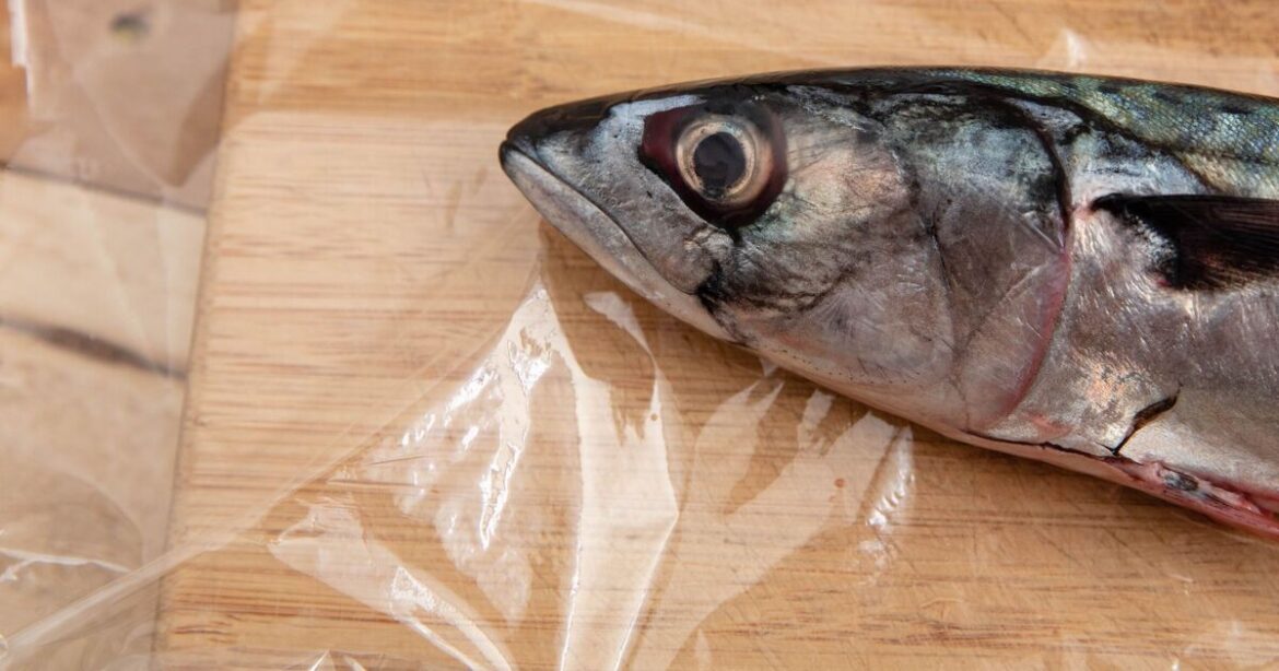 Gardeners urged to plant fish heads in their gardens Gardeners urged to plant fish heads in their gardens