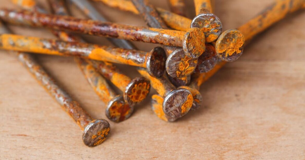 Gardeners urged to bury rusty nail in soil for this crucial reason Gardeners urged to bury rusty nail in soil for this crucial reason