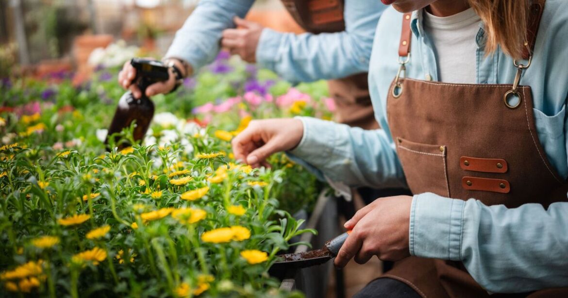 Vital gardening job to do before the end of July for ‘more blooms’ Vital gardening job to do before the end of July for 'more blooms'